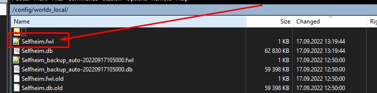 Как зузнать seed сервера Valheim - найти файл с расширением fwl