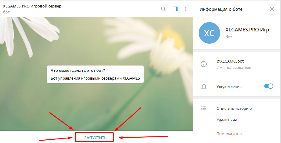 Управление сервером через Telegram