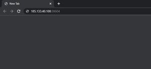 Leap web server1.jpg