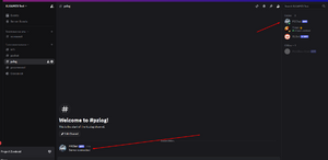 Pz discord server connected.png