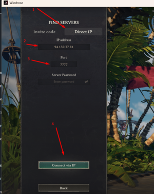 Windrose enter ip port.png