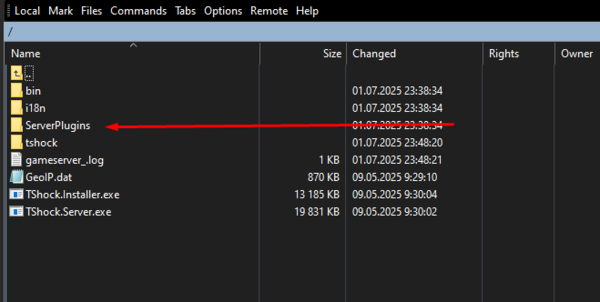 Папка сервера по FTP