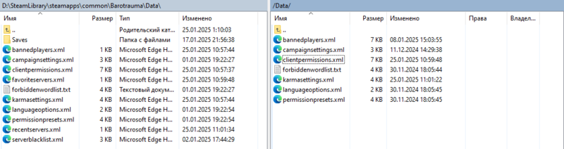 Файл:Barotrauma ftp data dir.png