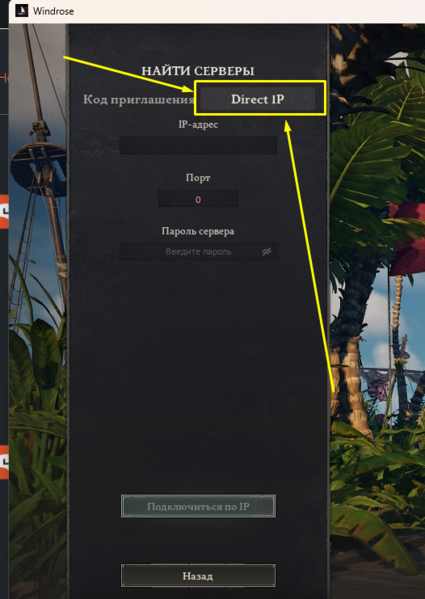 Файл:Direct ip tab.png