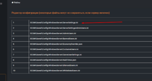 Scum open serversettings ini.png
