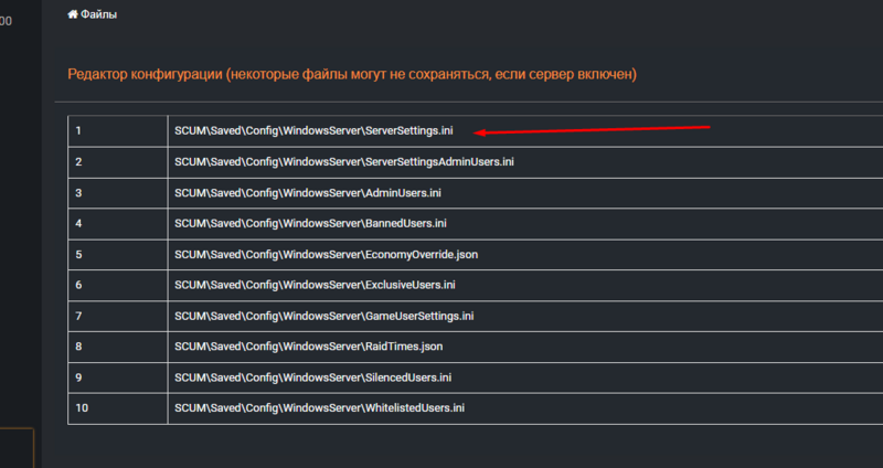 Файл:Scum open serversettings ini.png