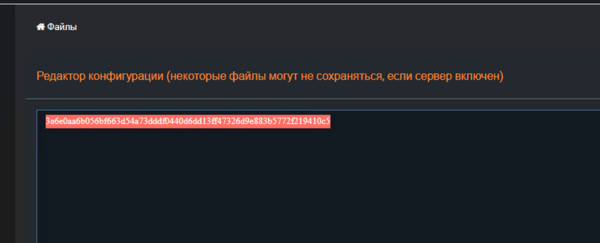 Копирование HEX-ключа из файла warden_key.txt