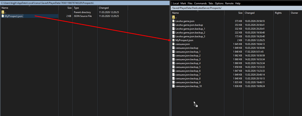 Загрузка файла участка в папку /Saved/PlayerData/DedicatedServer/Prospects по FTP