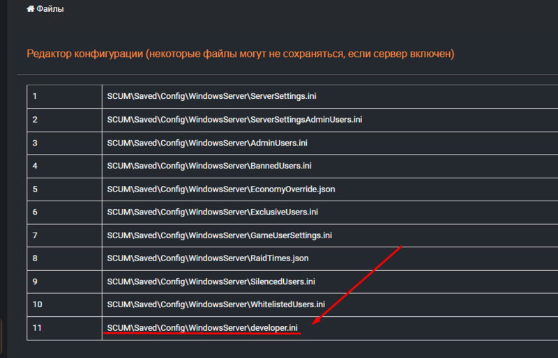 Файл:Scum-open-developer-ini.png