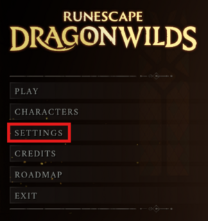 Dragonwilds open settings.png