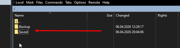 Папка Saved на сервере по FTP