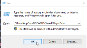 Icarus open playerdata run.png