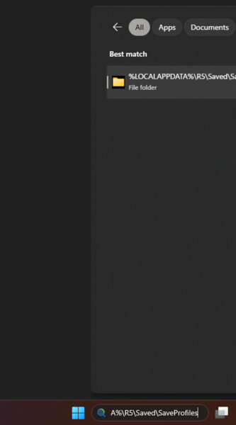 Файл:Windrose local search saveprofiles.png