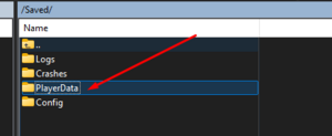 Icarus ftp open playerdata.png